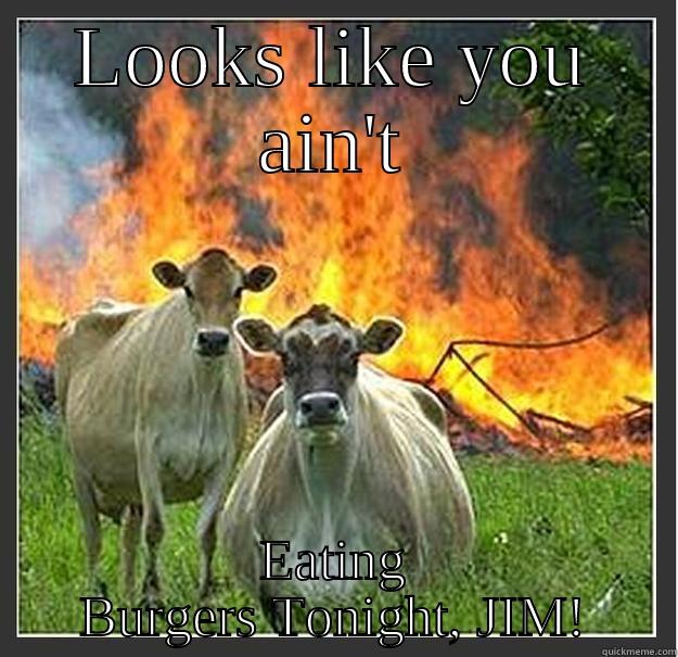 LOOKS LIKE YOU AIN'T EATING BURGERS TONIGHT, JIM! Evil cows