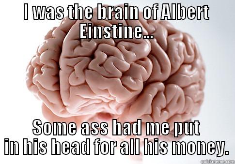 I WAS THE BRAIN OF ALBERT EINSTINE... SOME ASS HAD ME PUT IN HIS HEAD FOR ALL HIS MONEY. Scumbag Brain