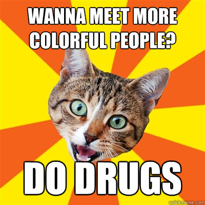 wanna meet more colorful people? do drugs  Bad Advice Cat