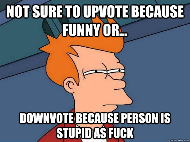 Not sure to upvote because funny or... downvote because person is stupid as fuck - Not sure to upvote because funny or... downvote because person is stupid as fuck  Futurama Fry