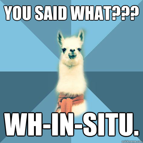 YOU SAID WHAT??? wh-in-situ.  Linguist Llama