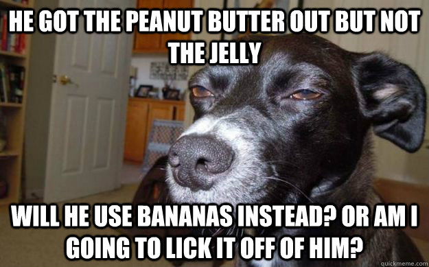 he got the peanut butter out but not the jelly  will he use bananas instead? Or am i going to lick it off of him?  Skeptical Mutt