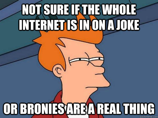 Not sure if the whole internet is in on a joke Or bronies are a real thing - Not sure if the whole internet is in on a joke Or bronies are a real thing  Futurama Fry