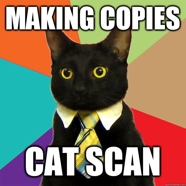 Making copies Cat Scan  Business Cat