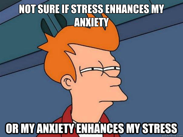 Not sure if stress enhances my anxiety Or my anxiety enhances my stress  Futurama Fry