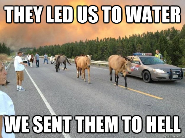 they led us to water we sent them to hell  Evil Horses