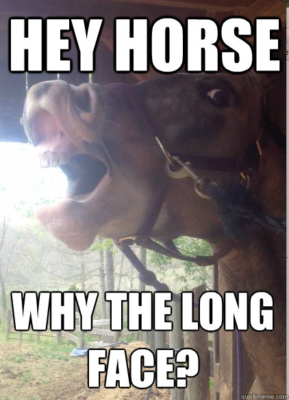 hey horse why the long face?  