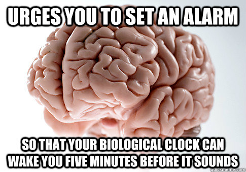 urges you to set an alarm so that your biological clock can wake you five minutes before it sounds - urges you to set an alarm so that your biological clock can wake you five minutes before it sounds  Scumbag Brain