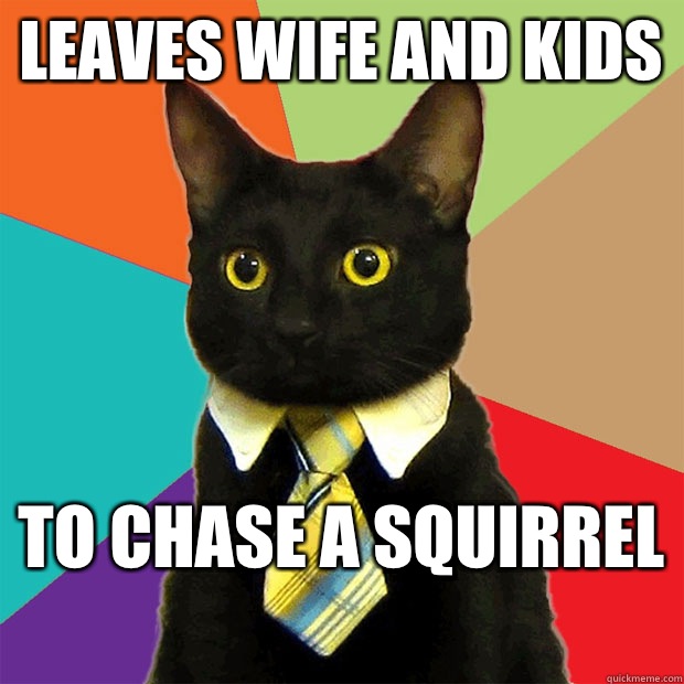 Leaves wife and kids To chase a squirrel   Business Cat