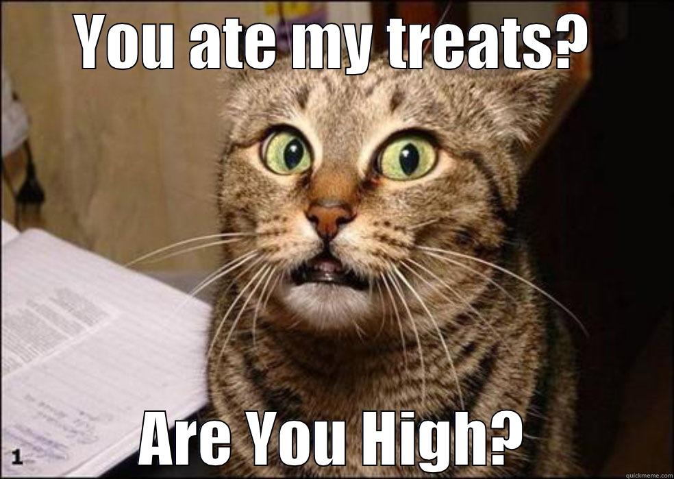 YOU ATE MY TREATS? ARE YOU HIGH? Misc