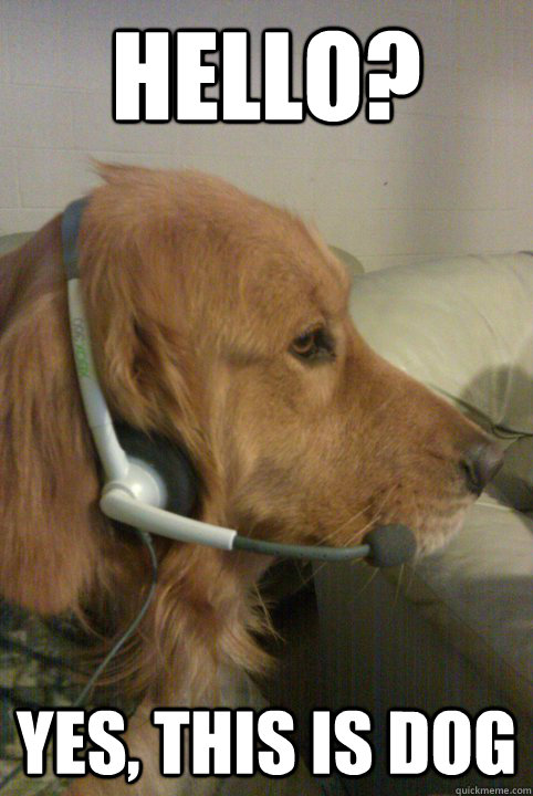 hello? yes, this is dog  Xbox Live Dog