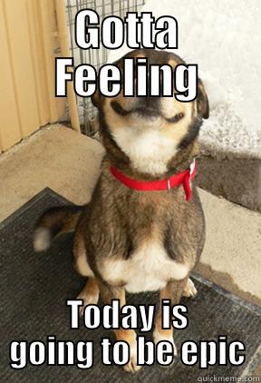 Gotta Feeling - GOTTA FEELING TODAY IS GOING TO BE EPIC Good Dog Greg