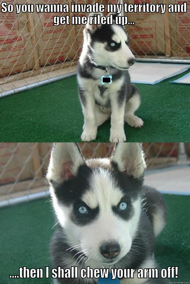 Devil Dog - SO YOU WANNA INVADE MY TERRITORY AND GET ME RILED UP... ....THEN I SHALL CHEW YOUR ARM OFF! Insanity puppy