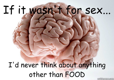 If it wasn't for sex... I'd never think about anything other than FOOD  Caption 4 goes here - If it wasn't for sex... I'd never think about anything other than FOOD  Caption 4 goes here  Scumbag Brain