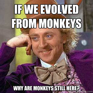 if we evolved from monkeys why are monkeys still here?  Condescending Wonka