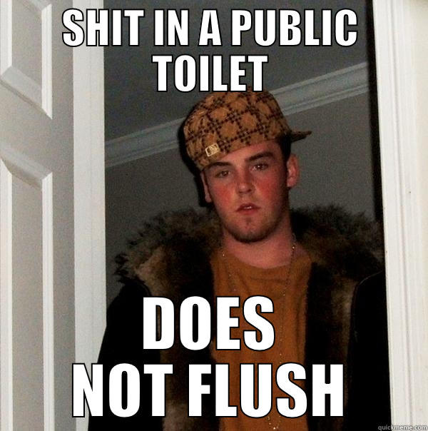 SHIT IN A PUBLIC TOILET DOES NOT FLUSH Scumbag Steve