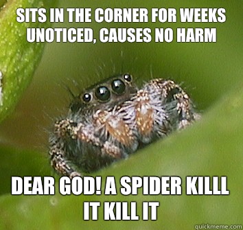 Sits in the corner for weeks unoticed, causes no harm dear god! A spider killl it kill it  Misunderstood Spider