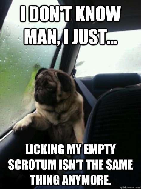 I don't know man, I just... Licking my empty scrotum isn't the same thing anymore.  Introspective Pug