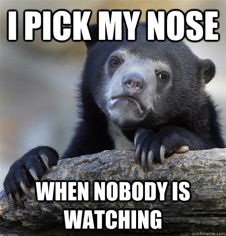 I pick MY Nose When nobody is watching  Confession Bear