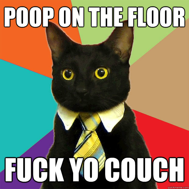 poop on the floor Fuck yo couch  Business Cat