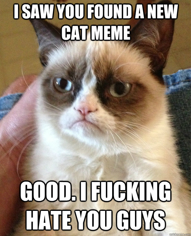 I saw you found a new cat meme Good. I fucking hate you guys  Grumpy Cat