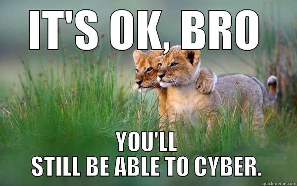 IT'S OK, BRO YOU'LL STILL BE ABLE TO CYBER. Misc