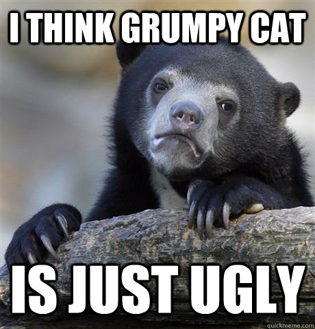 I think grumpy cat is just ugly - I think grumpy cat is just ugly  Confession Bear