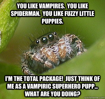 You like vampires.  You like Spiderman.  You like fuzzy little puppies. I'm the total package!  Just think of me as a vampiric superhero pupp... what are you doing? - You like vampires.  You like Spiderman.  You like fuzzy little puppies. I'm the total package!  Just think of me as a vampiric superhero pupp... what are you doing?  Misunderstood Spider