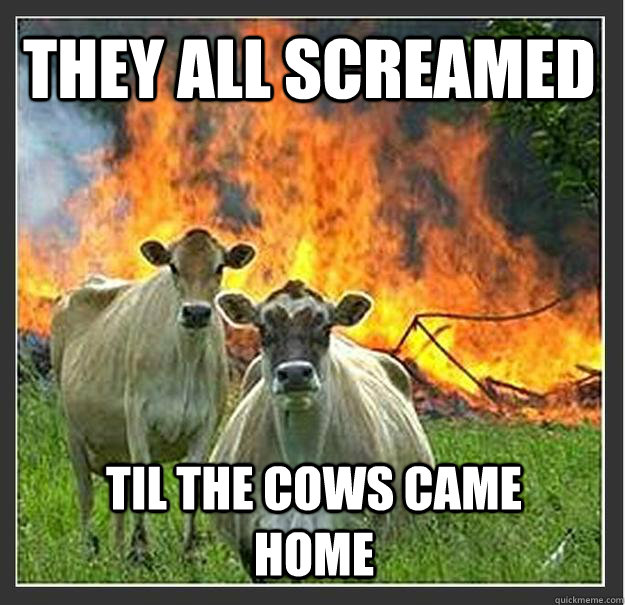 They all screamed til the cows came home  Evil cows