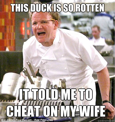 this duck is so rotten it told me to cheat on my wife  gordon ramsay