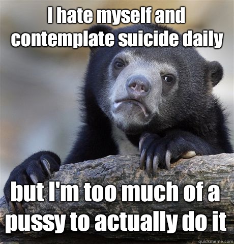 I hate myself and contemplate suicide daily but I'm too much of a pussy to actually do it  Confession Bear