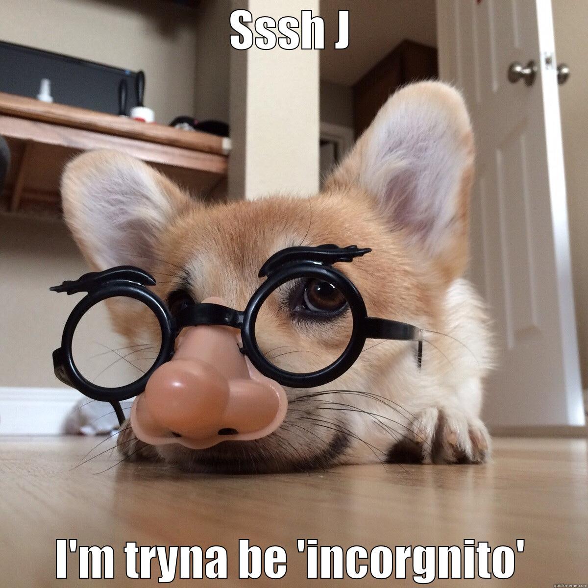 Incorgnito Burrito - SSSH J I'M TRYNA BE 'INCORGNITO' Misc