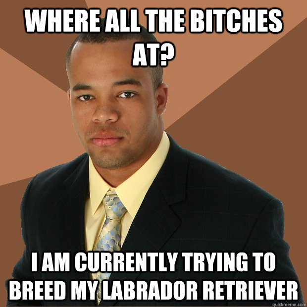 where all the bitches at? I am currently trying to breed my labrador retriever  Successful Black Man