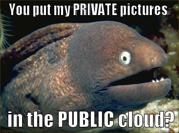 YOU PUT MY PRIVATE PICTURES    IN THE PUBLIC CLOUD? Bad Joke Eel