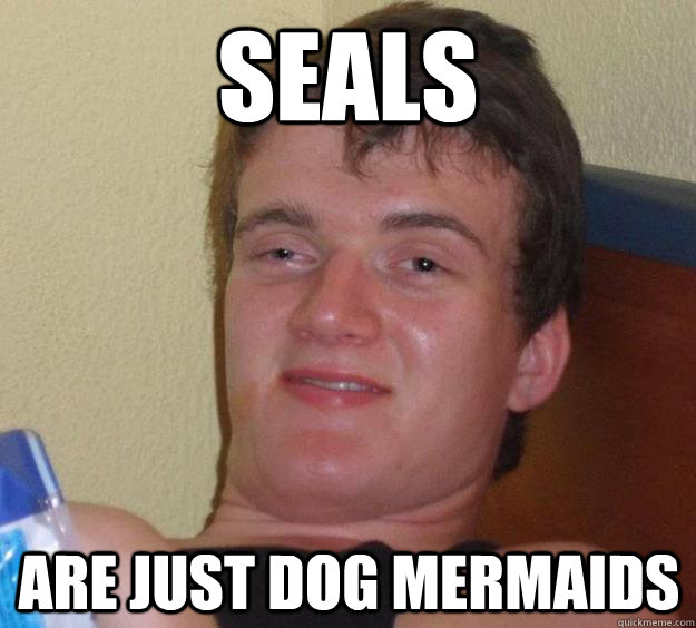 Seals Are just dog mermaids   10 Guy