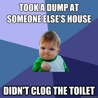 took a dump at someone else's house didn't clog the toilet  Success Kid