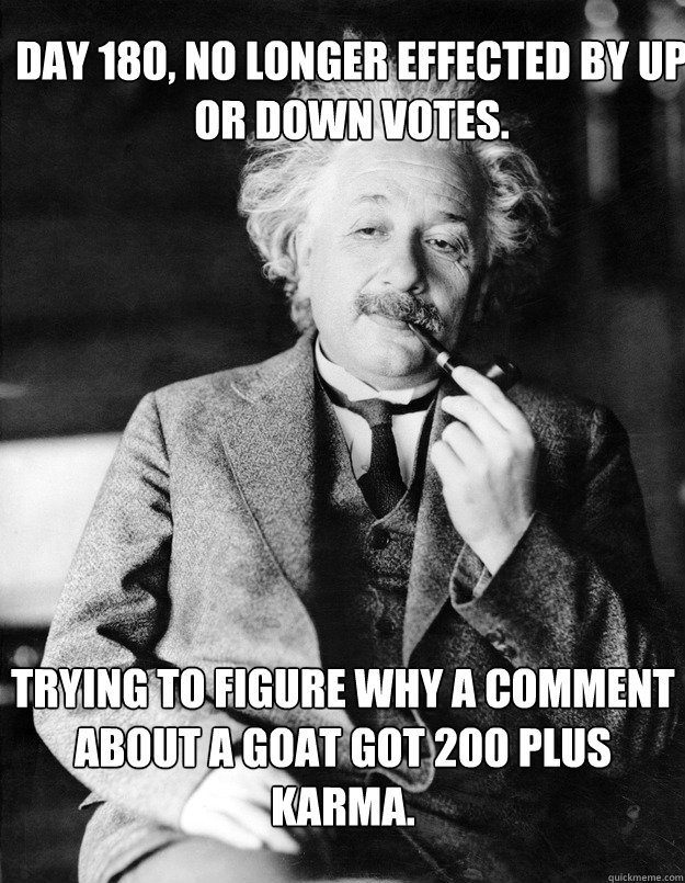 Day 180, no longer effected by up or down votes. Trying to figure why a comment about a goat got 200 plus Karma.  Einstein