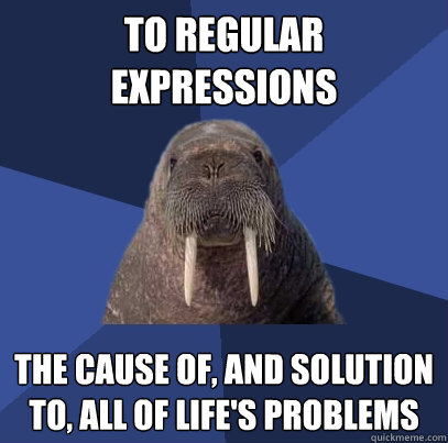 to regular expressions the cause of, and solution to, all of life's problems  Web Developer Walrus