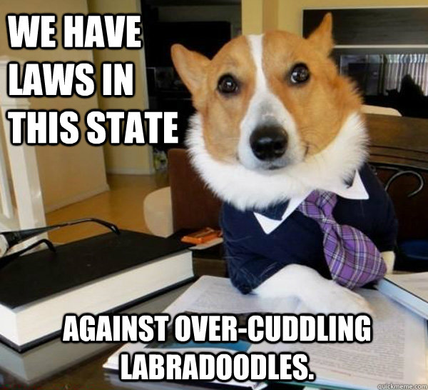 we have laws in this state against over-cuddling labradoodles.  Lawyer Dog