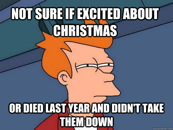 Not sure if excited about Christmas Or died last year and didn't take them down - Not sure if excited about Christmas Or died last year and didn't take them down  Futurama Fry