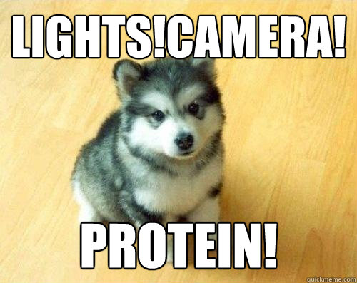 Lights!Camera! PROTEIN!  Baby Courage Wolf