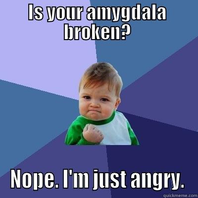 AP Psychology  - IS YOUR AMYGDALA BROKEN? NOPE. I'M JUST ANGRY. Success Kid