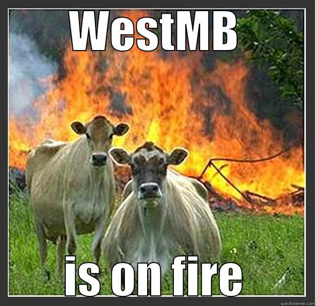 WESTMB IS ON FIRE Evil cows