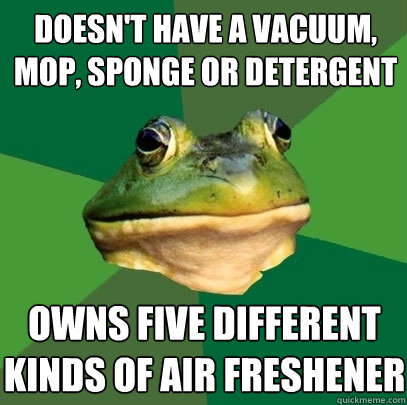 doesn't have a vacuum, mop, sponge or detergent owns five different kinds of air freshener  Foul Bachelor Frog