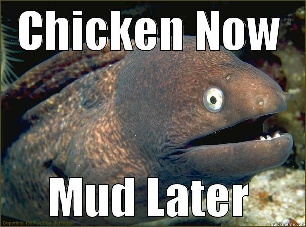 CHICKEN NOW MUD LATER Bad Joke Eel