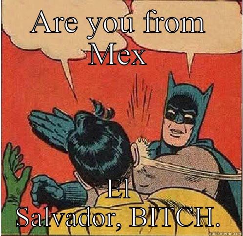 ARE YOU FROM MEX EL SALVADOR, BITCH. Batman Slapping Robin