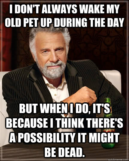 I don't always wake my old pet up during the day but when I do, it's because I think there's a possibility it might be dead.  The Most Interesting Man In The World