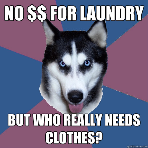 No $$ For Laundry But who really needs clothes? - No $$ For Laundry But who really needs clothes?  Creeper Canine