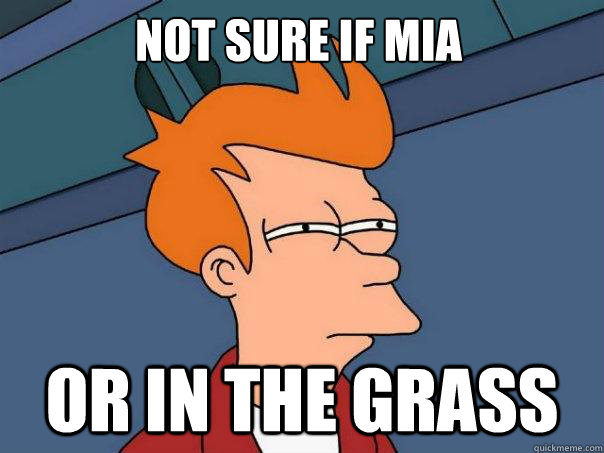 not sure if mia or in the grass  Futurama Fry