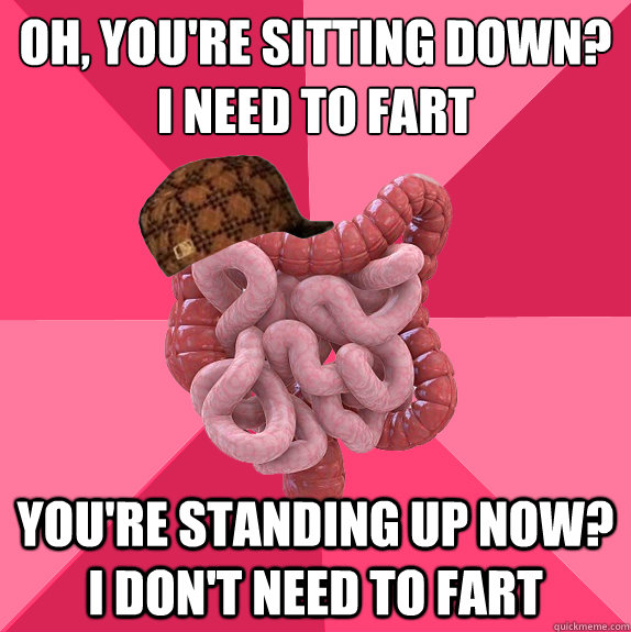 oh, you're sitting down? 
I need to fart You're standing up now? I don't need to fart  Scumbag Intestines